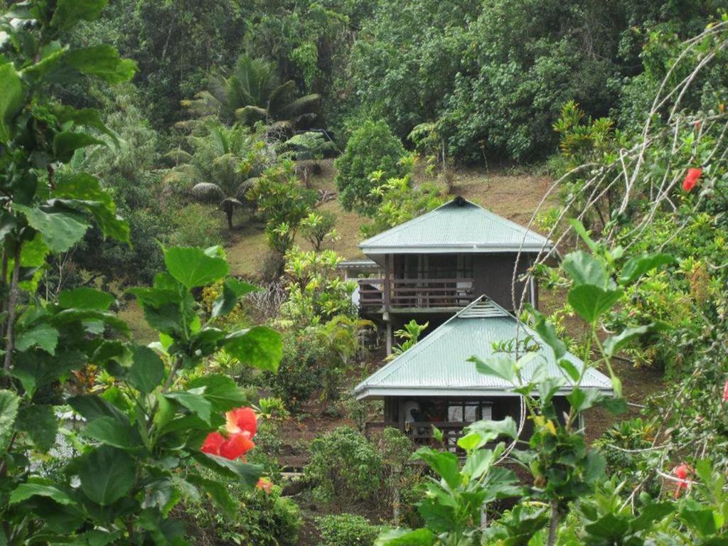 Pension Temaeva Villa Opoa Habitación foto